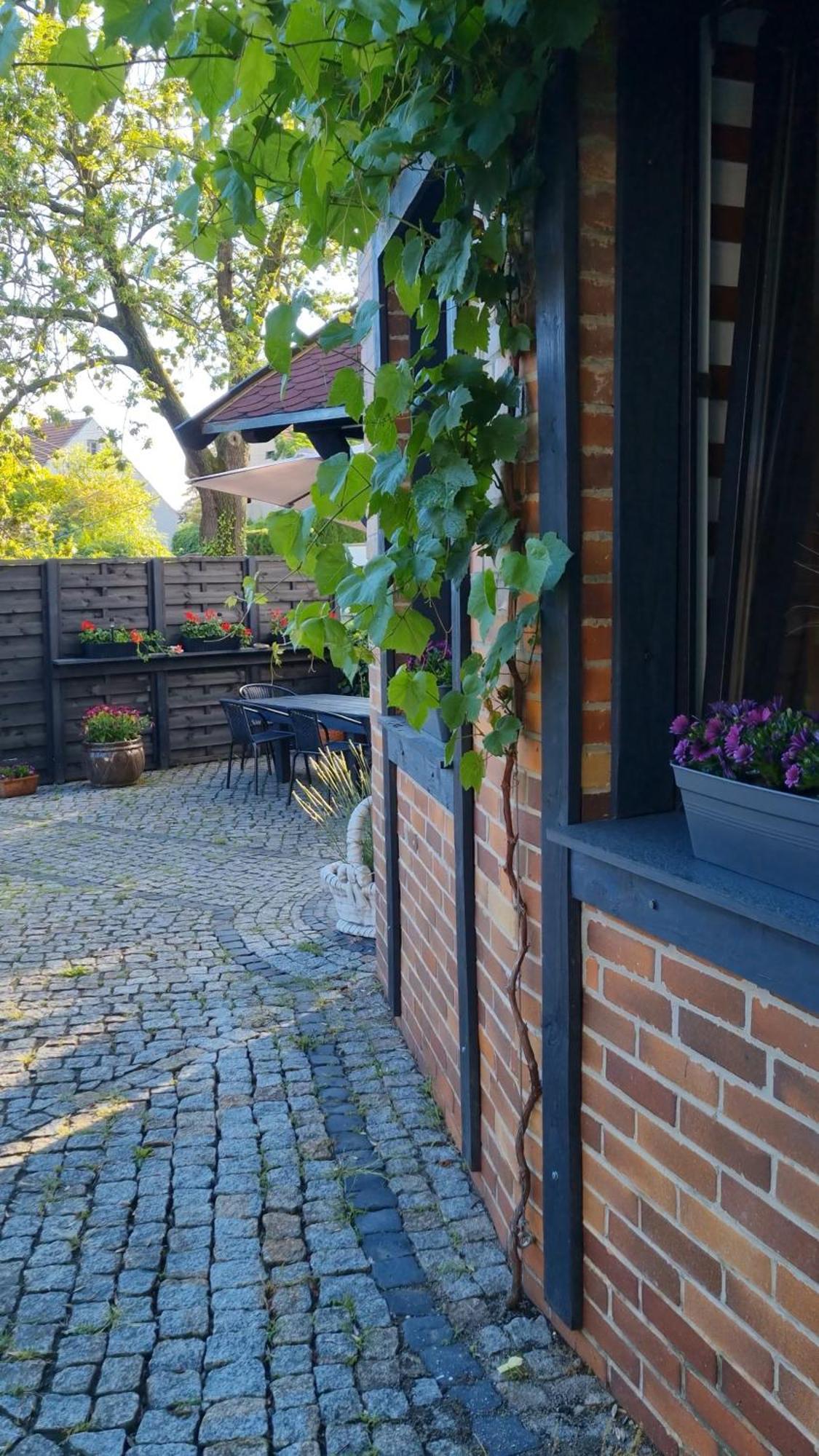 Noclegi Na Lacznej Świebodzice Exteriér fotografie
